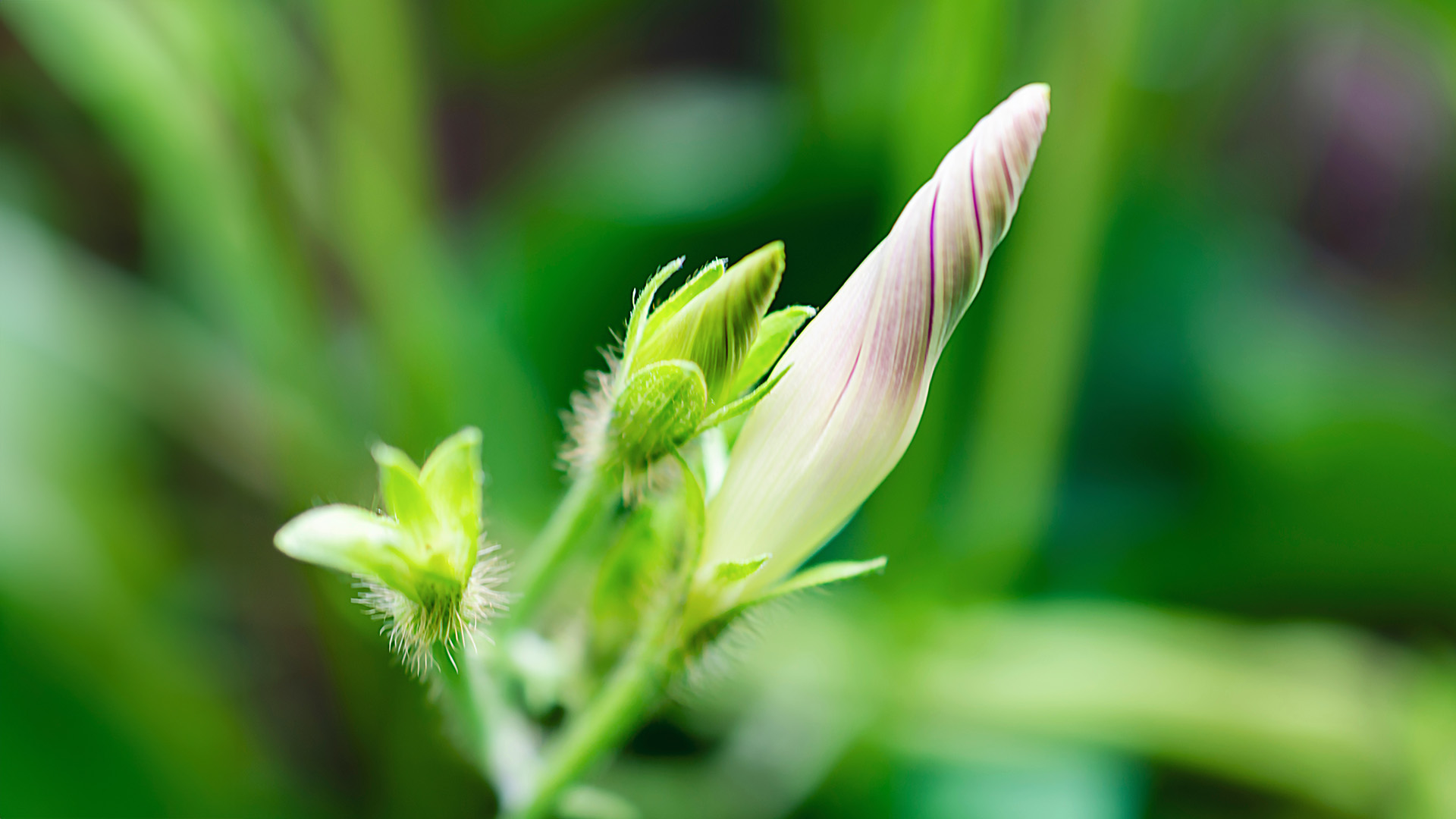 Haven of Hope Eating Disorder Care Center