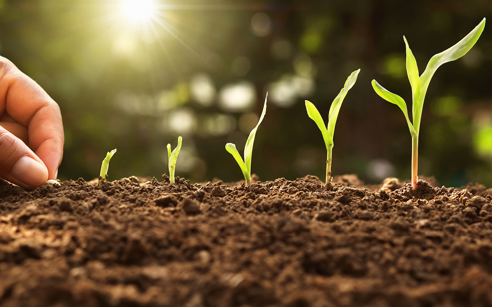 Haven of Hope Eating Disorder Care Center